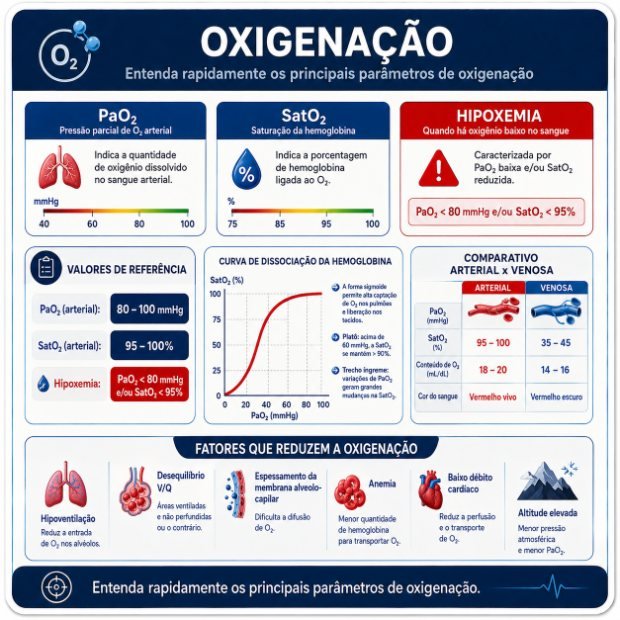 Ficha visual de gasometria