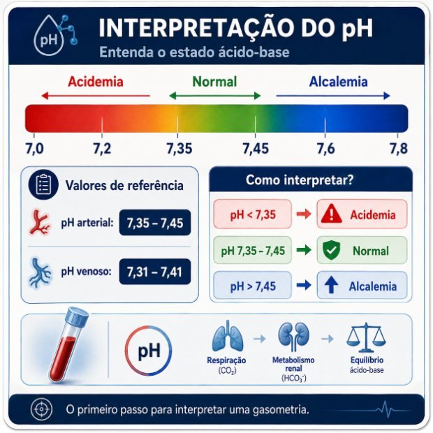Ficha visual de gasometria